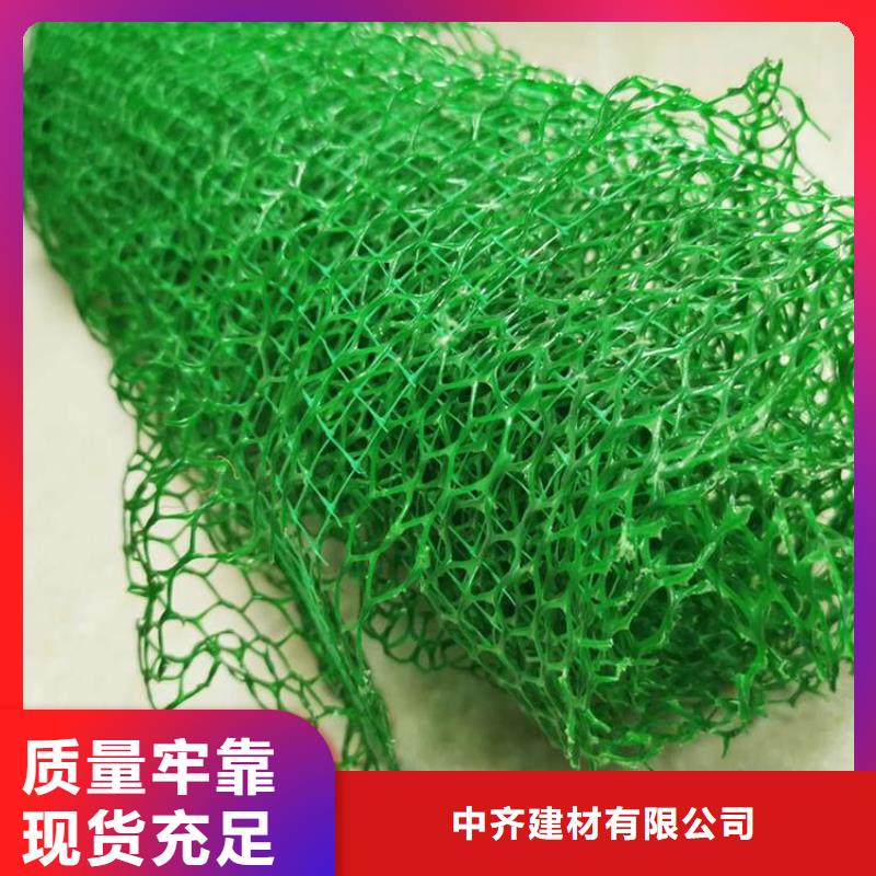 三维植被网涤纶土工格栅支持大小批量采购