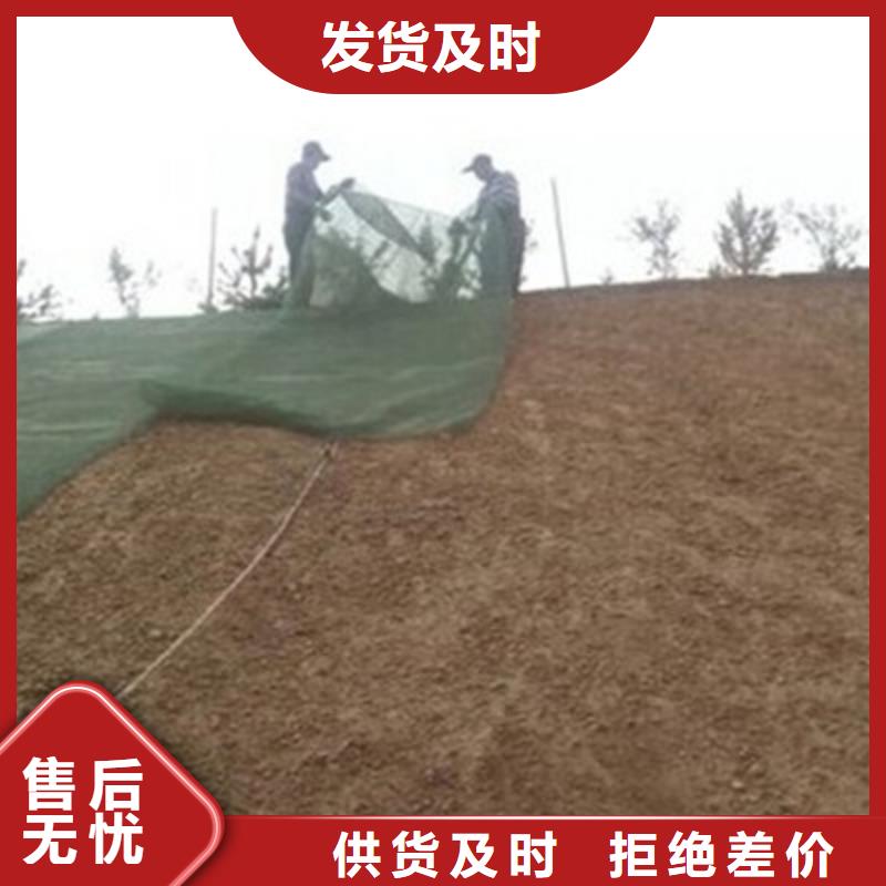 厂家直销三维植被网,护坡土工网,