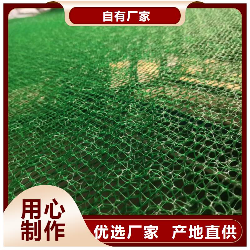 三维植被网【实业】-EM4三维植被网价格三维植被网【实业】