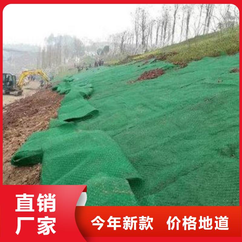 三维植被网凸结点钢塑土工格栅好品质经得住考验