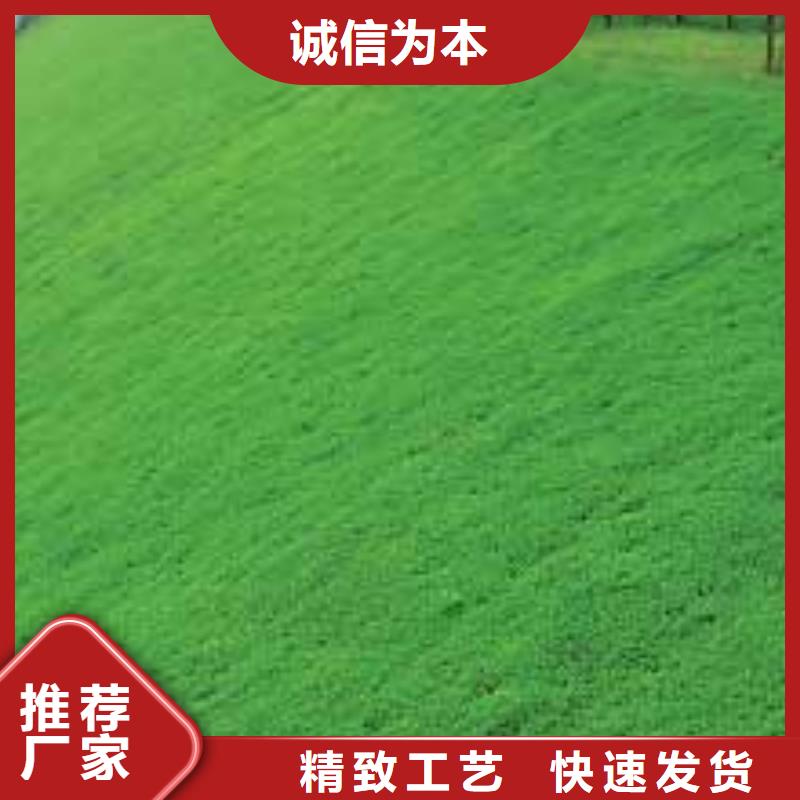 琼中县三维植被网厂家土工网垫价格生产基地