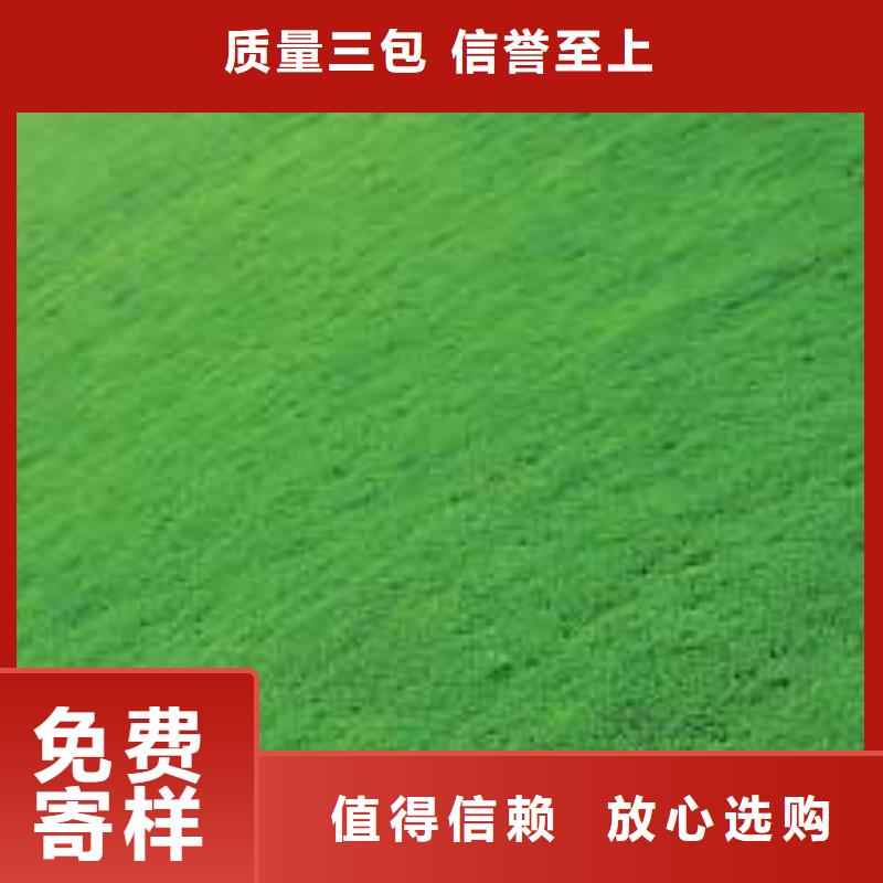 专业生产品质保证【中齐】护坡三维网厂家土工网垫价格生产基地