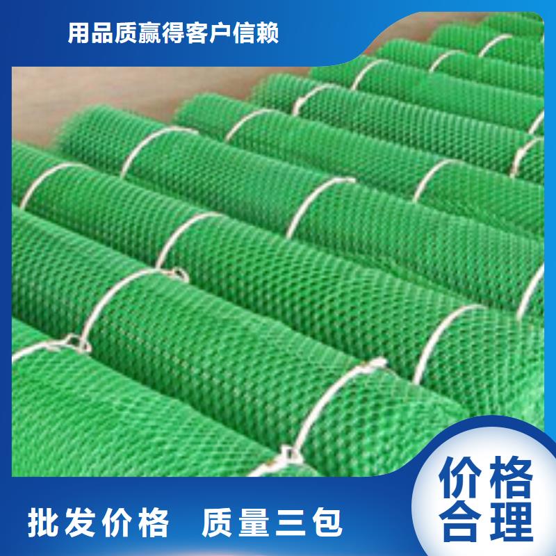 专业生产品质保证【中齐】护坡三维网厂家土工网垫价格生产基地