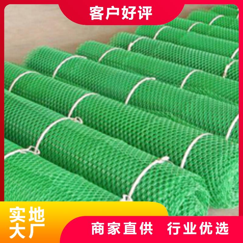 琼中县三维植被网厂家土工网垫价格生产基地