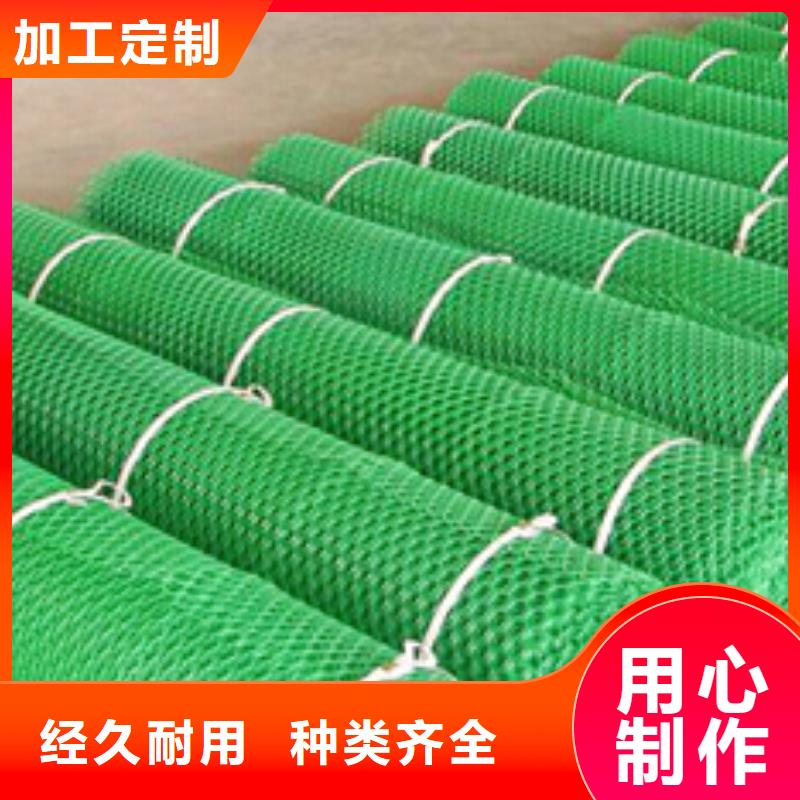 三维排水网垫厂家三维土工网价格三维排水网垫多少钱