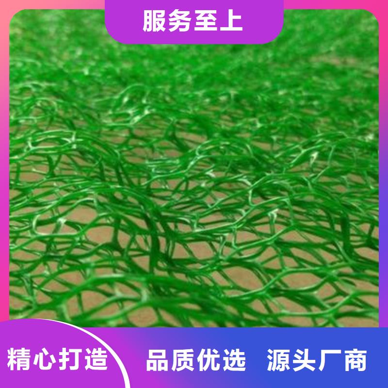 三维植被网-单向塑料格栅保质保量