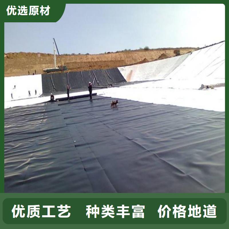 乐东县土工膜水利防渗膜复合土工膜批发销售