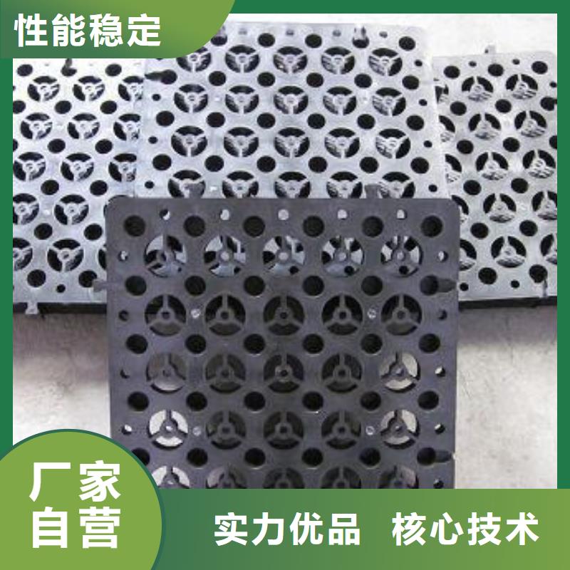 蓄排水板,软式透水管专业厂家