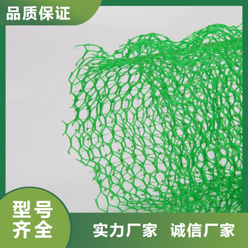 三维植被网价格-三维土工网垫生产厂家