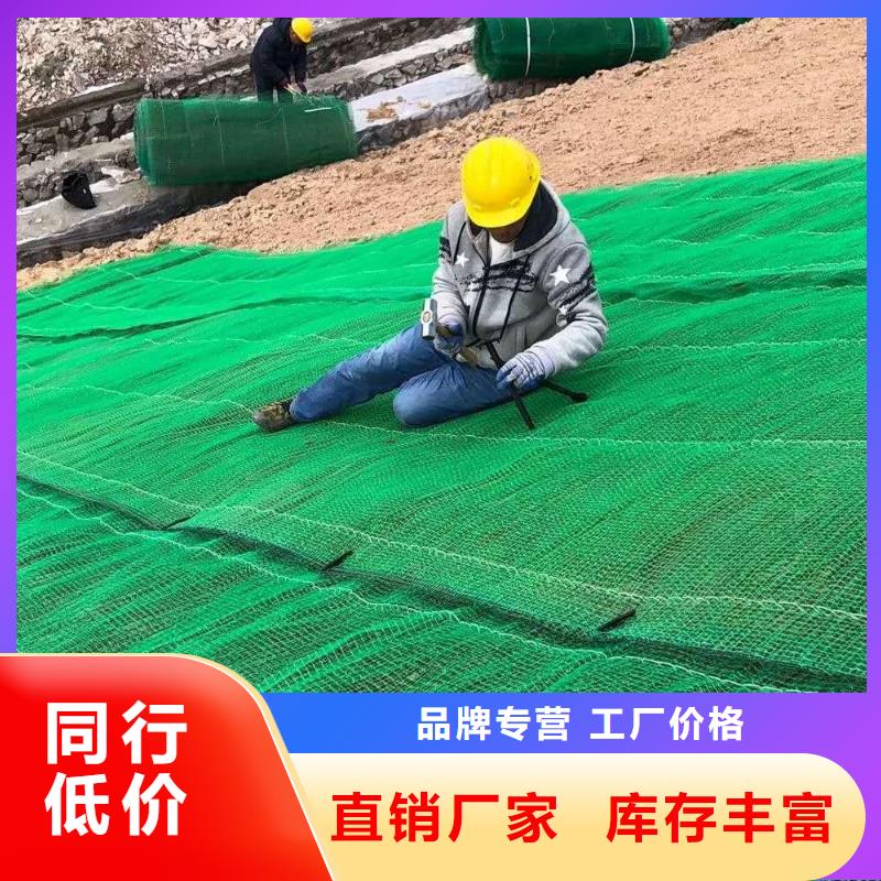 三维植被网单向塑料土工格栅品质做服务