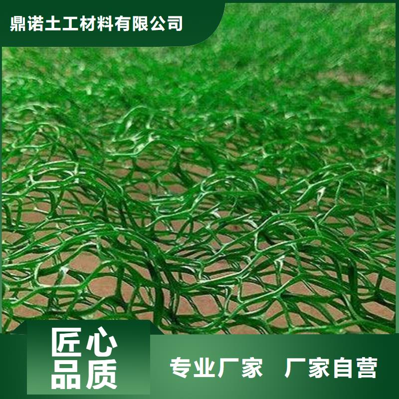【鼎诺】屯昌县三维植被网厂家植草护坡生态修复