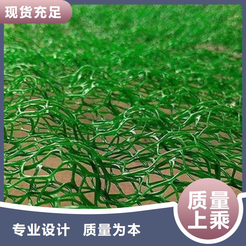 材质实在(鼎诺)绿化植草三维土工网垫
