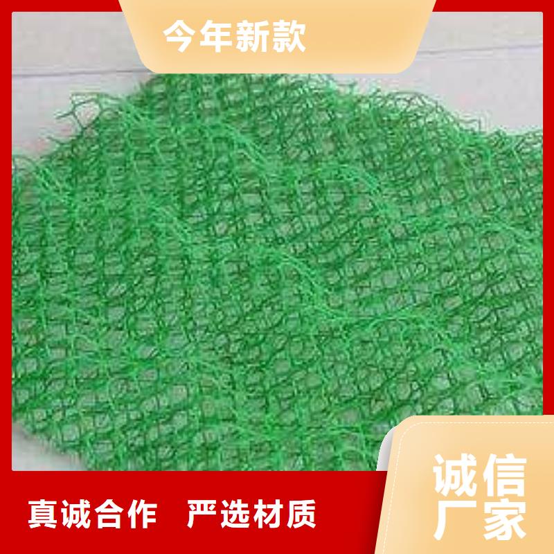 出厂严格质检(鼎诺)三维植被网护坡材料