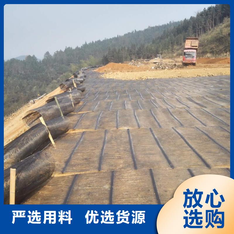 【黔东南】订购钢塑复合土工格栅供应商