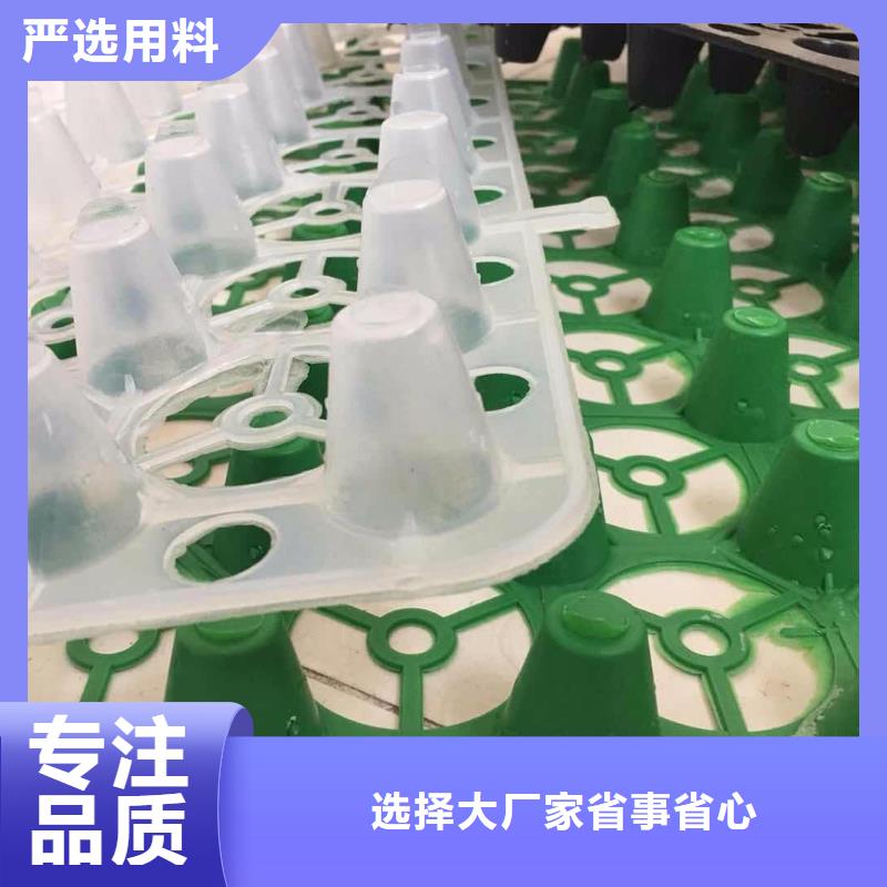 塑料排水板包施工