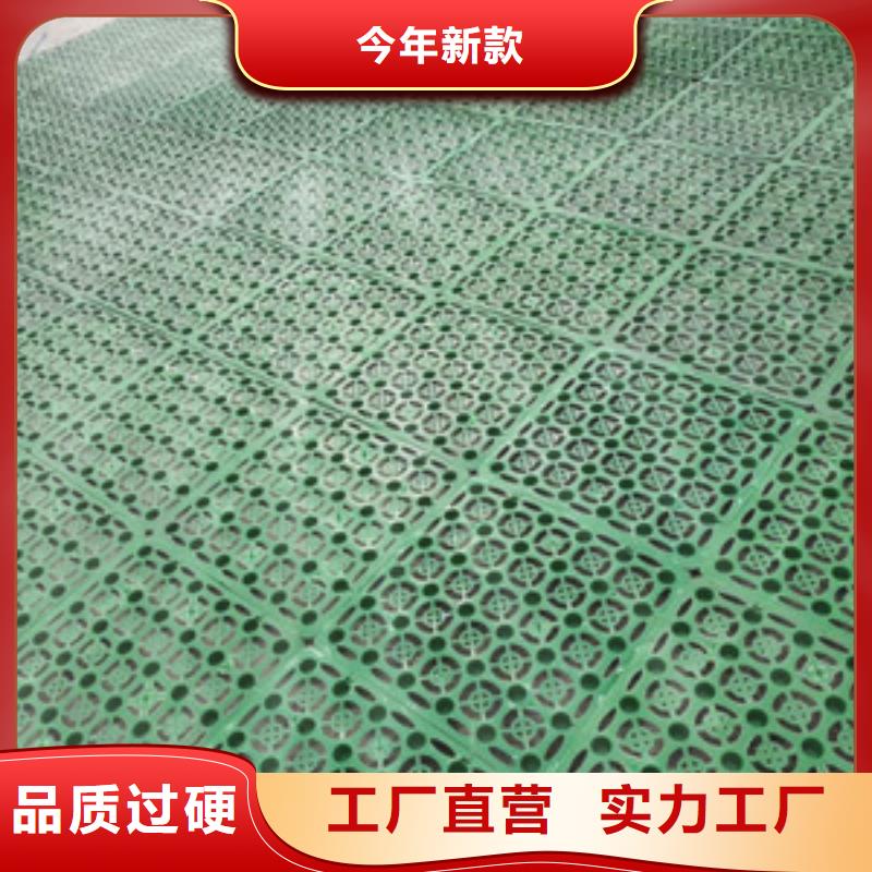 塑料排水板土工布批发自产自销