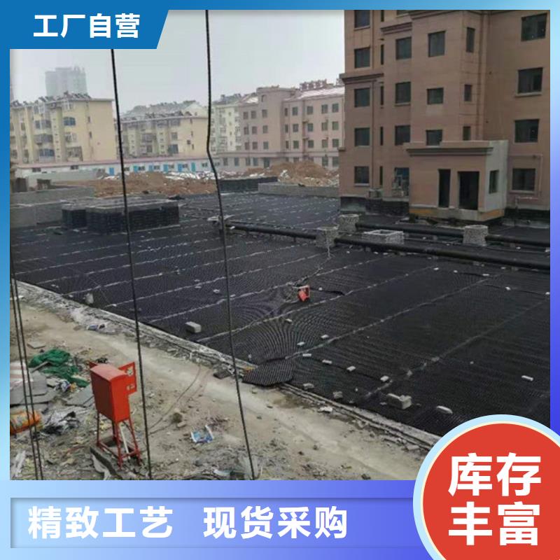 塑料排水板多向塑料土工格栅实力工厂