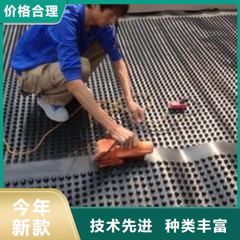 塑料排水板钢塑土工格栅厂家库存丰富
