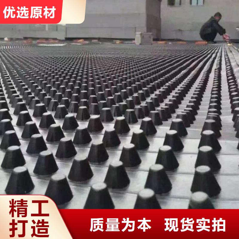 塑料排水板钢塑土工格栅厂家商家直供
