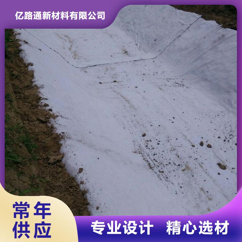 防水毯双向塑料土工格栅低价货源