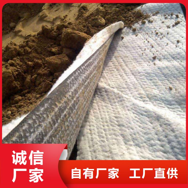 防水毯双向塑料土工格栅低价货源