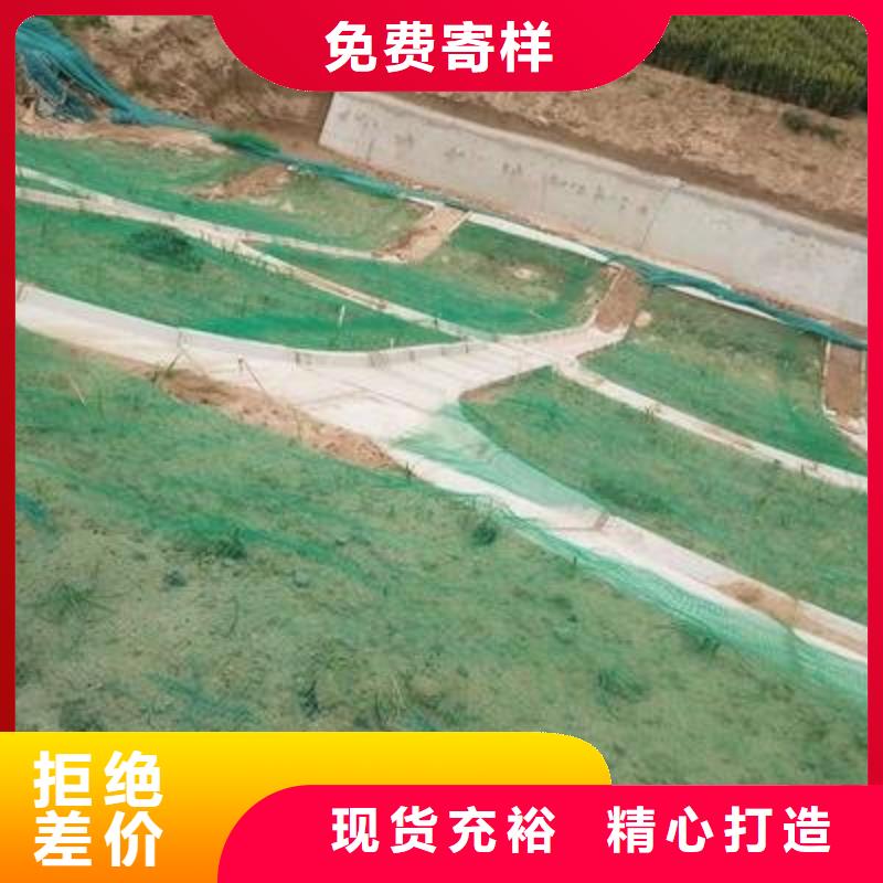 三维植被网,公路边坡植草绿化,三维土工网垫