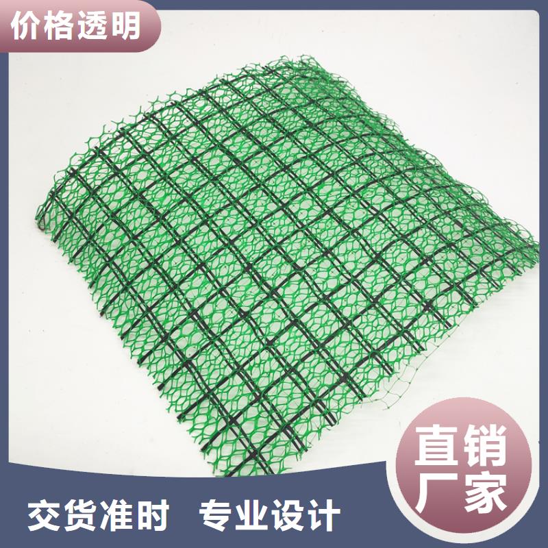 三维植被网塑料盲沟厂家直营