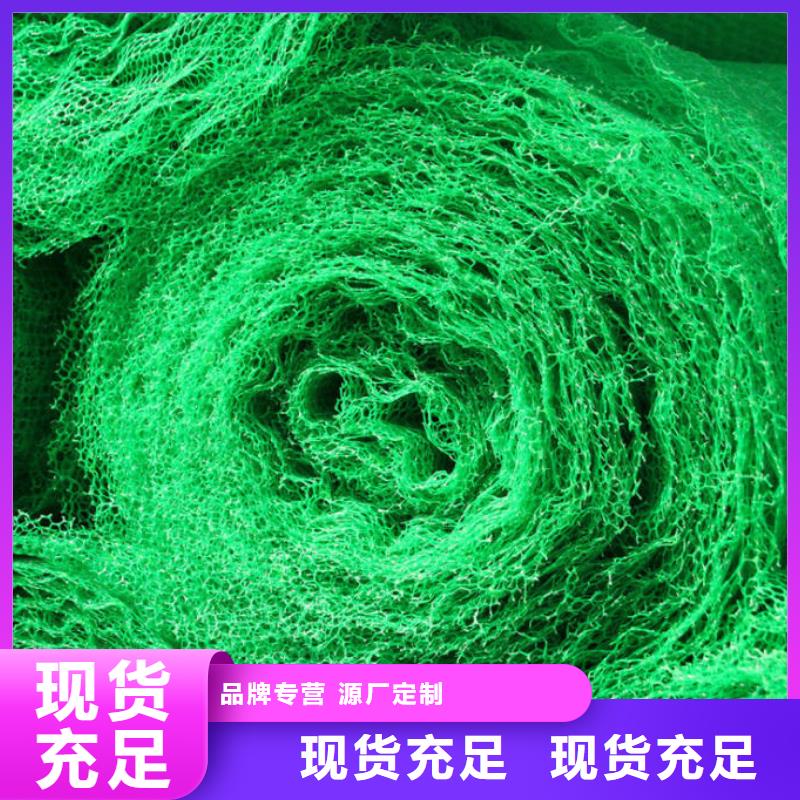 三维植被网_【涤纶土工格栅】价格透明