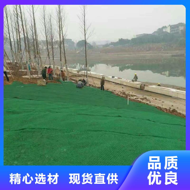 三维植被网双向塑料土工格栅服务至上