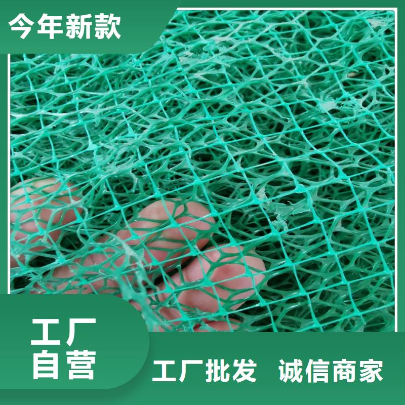 三维植被网_HDPE土工膜的简单介绍