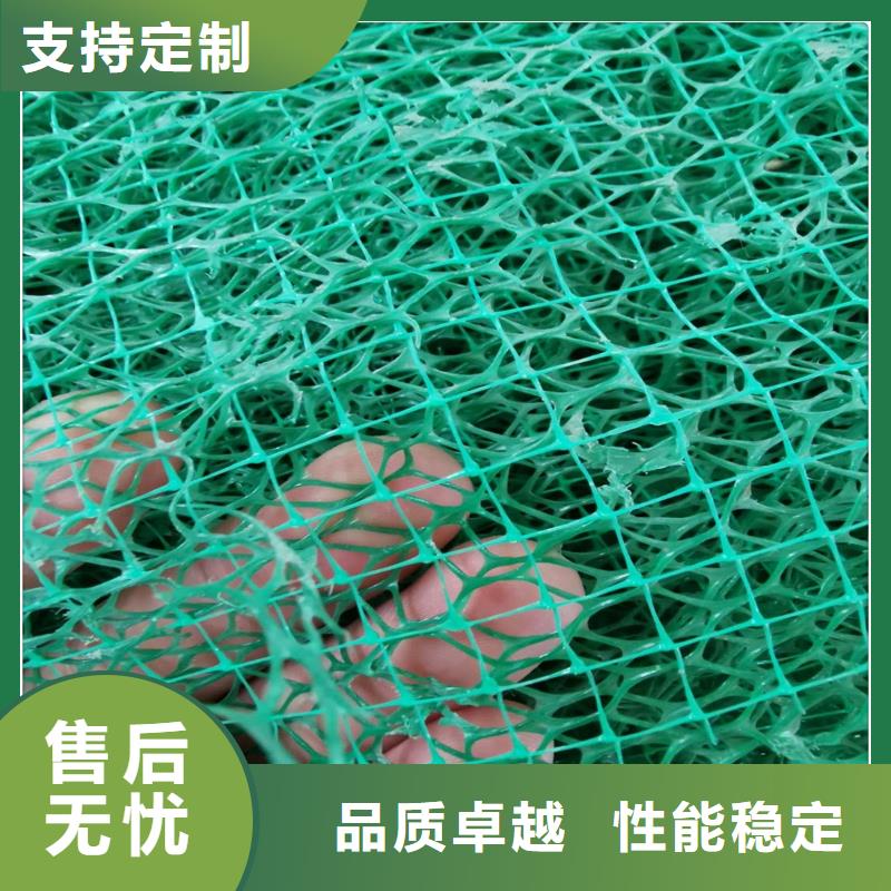 三维植被网护坡做法-价格低