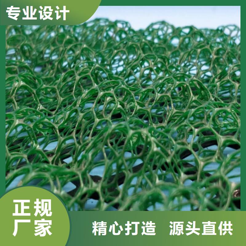 茂名本土三维植被网|三维网垫植草护坡|三维土工网垫厂家哪家好？