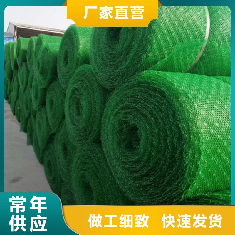咨询(亿路通)植生毯|三维植被网厂家|椰丝毯|三维抗侵蚀防护毯