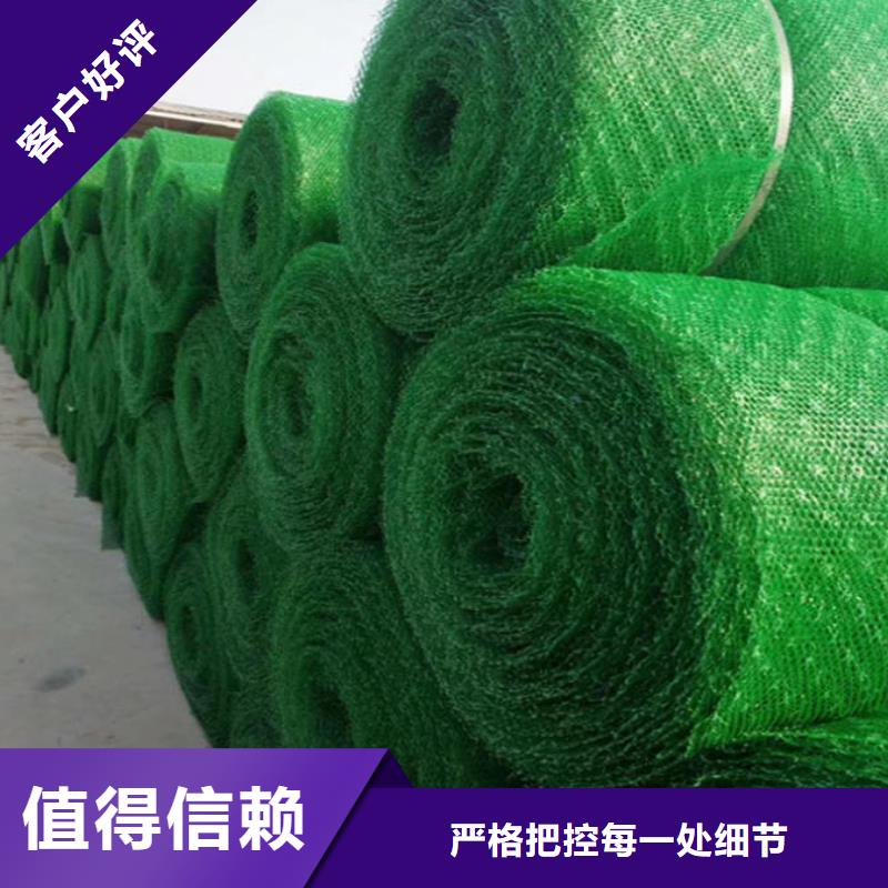 厂家实力大(亿路通)三维植被网三维水土保护毯库存齐全厂家直供