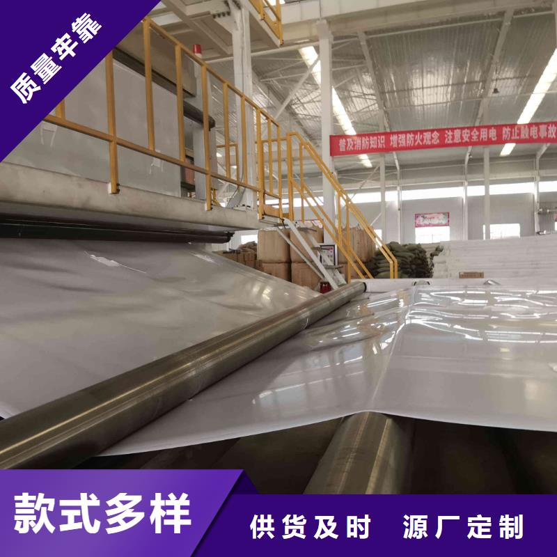 EVA防水板涤纶土工格栅定制速度快工期短