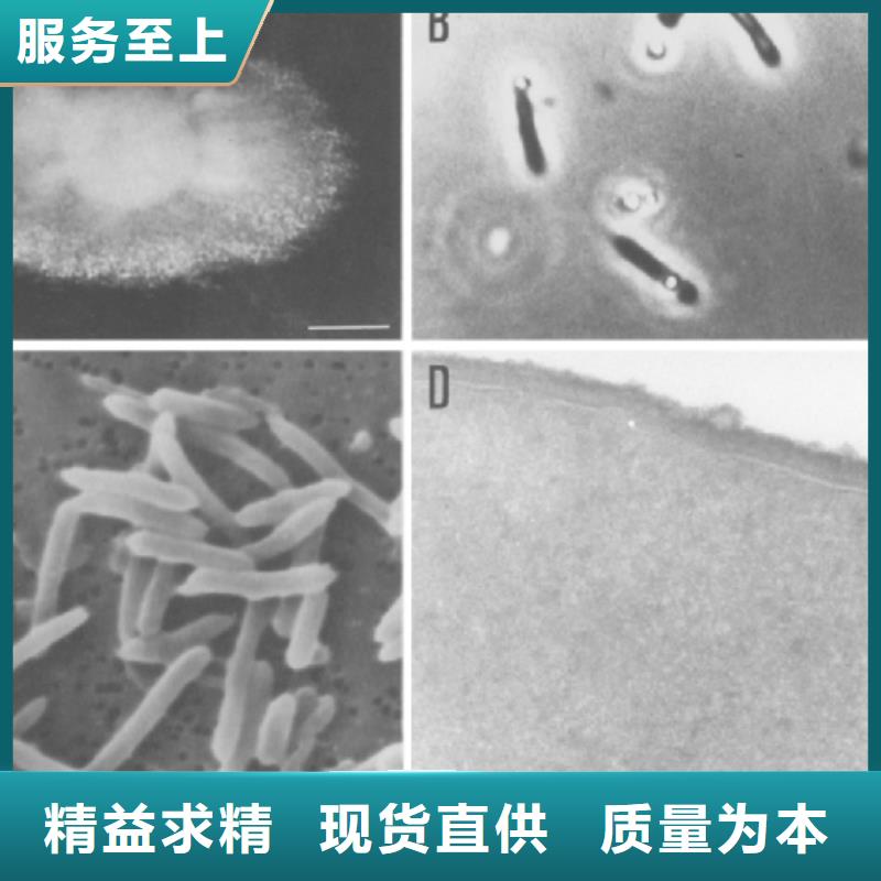 废水处理碳源厂家电话