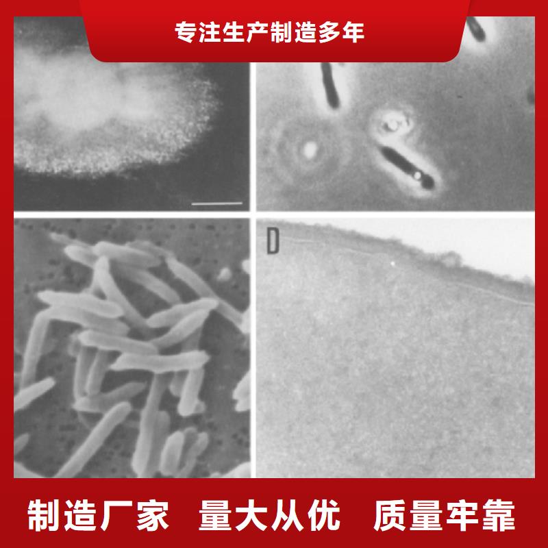 【碳源】-陶粒为品质而生产