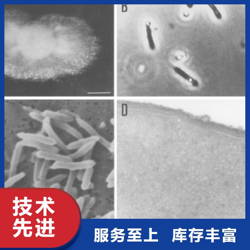 碳源(乙酸钠)实体厂家