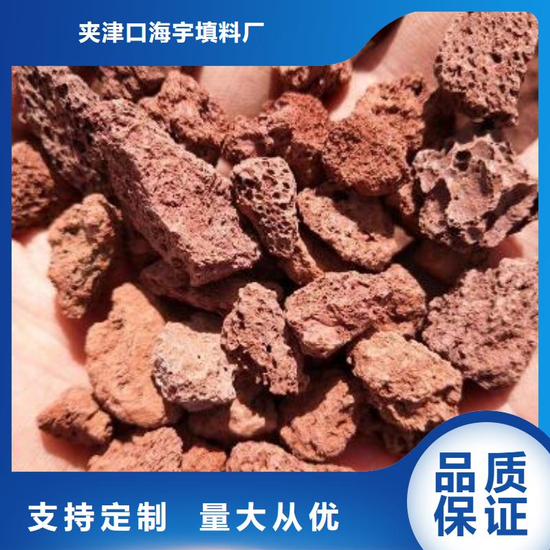 火山岩【生物陶粒滤料】定制定做