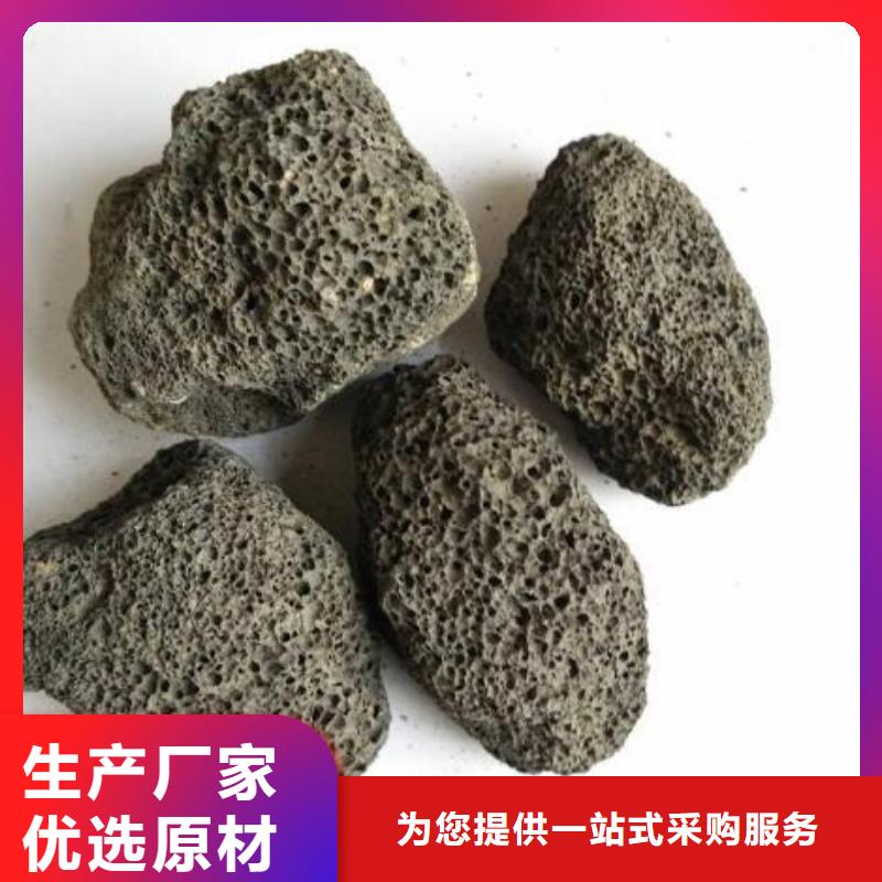 火山岩【生物陶粒滤料】定制定做