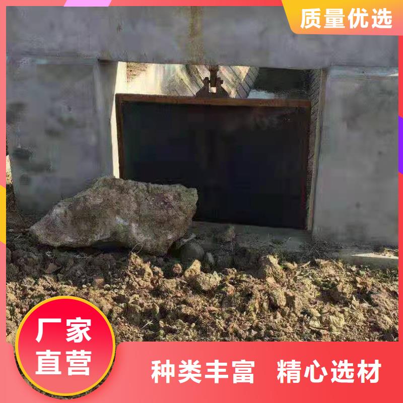 镶铜铸铁闸门支持定制