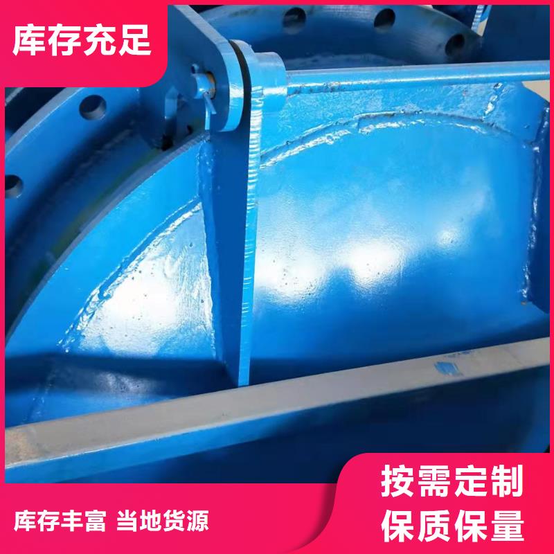钢闸门 【拍门】发货及时