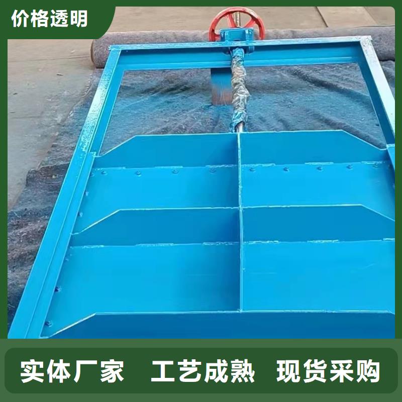 钢闸门今年新款