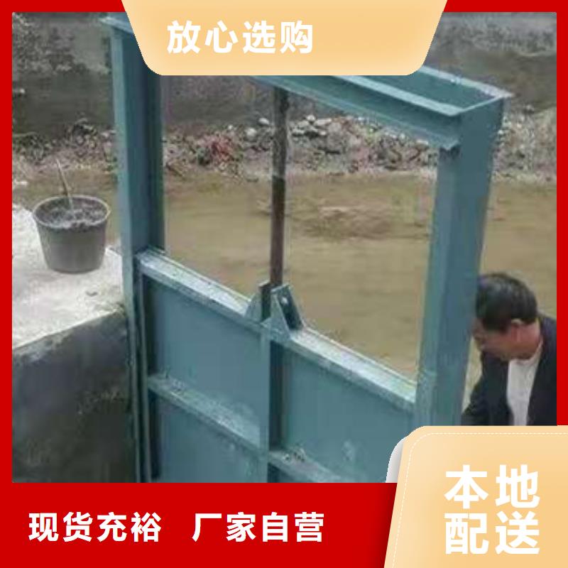 钢闸门,钢制拍门诚信经营现货现发