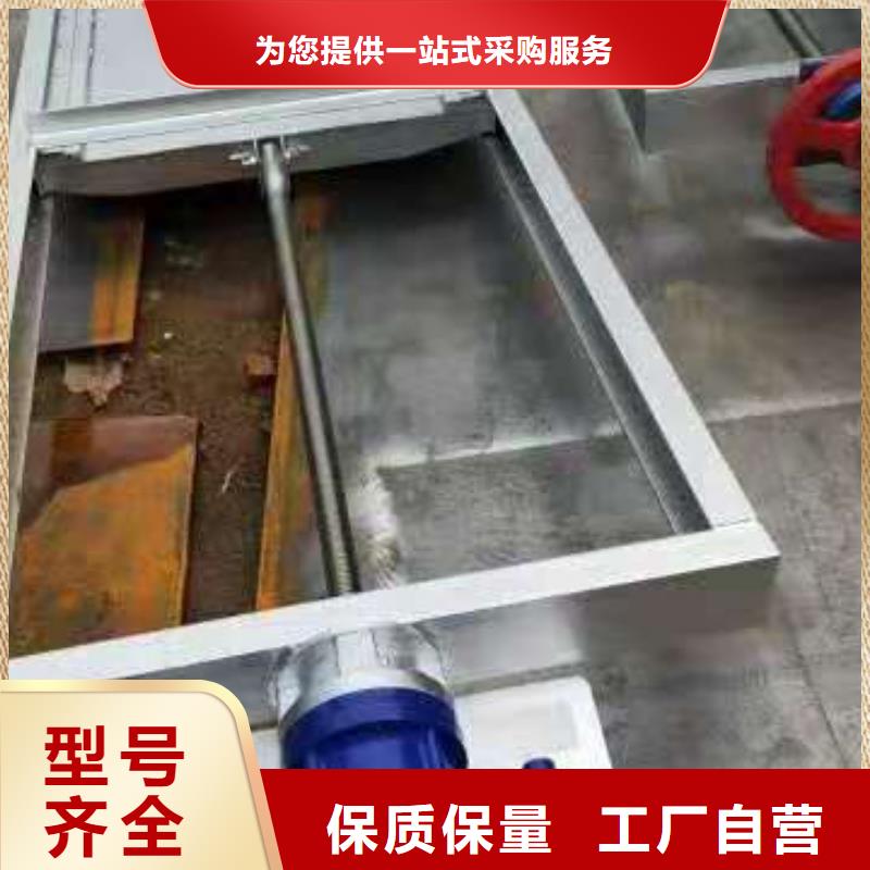 【钢闸门铸铁闸门专注细节更放心】