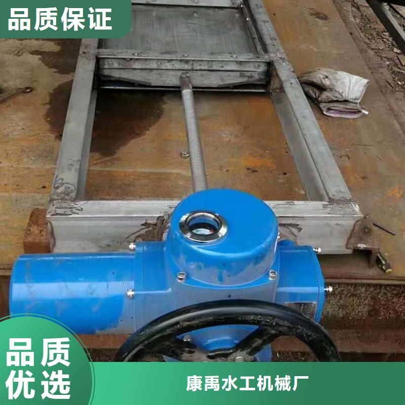 钢闸门球墨铸铁闸门供您所需