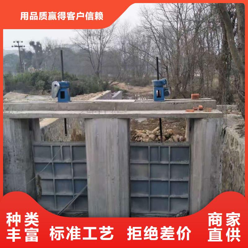 钢闸门实地大厂