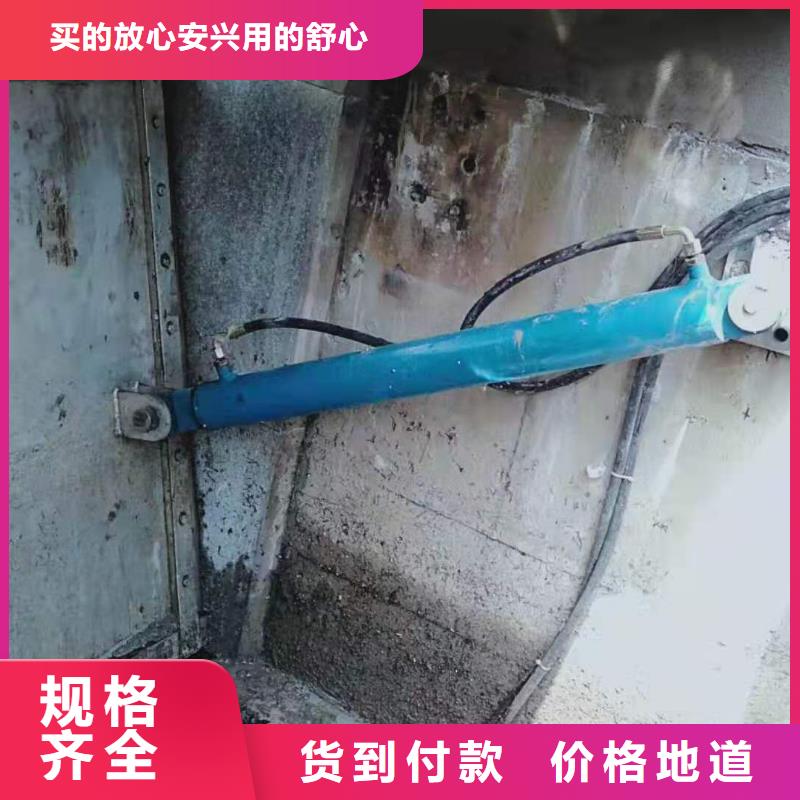 钢闸门 拍门诚信商家服务热情