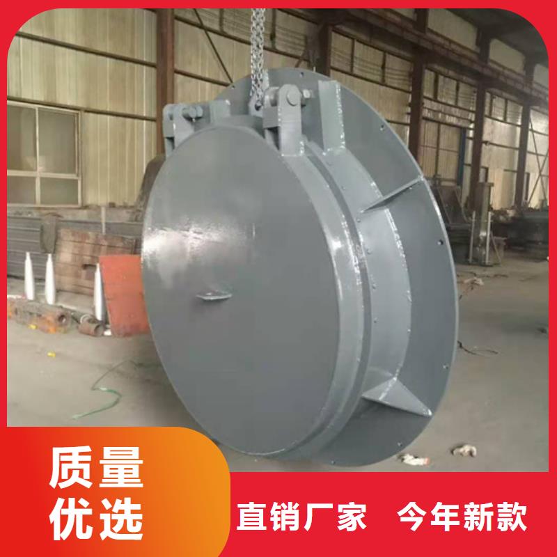 钢闸门 污水除污机实力工厂