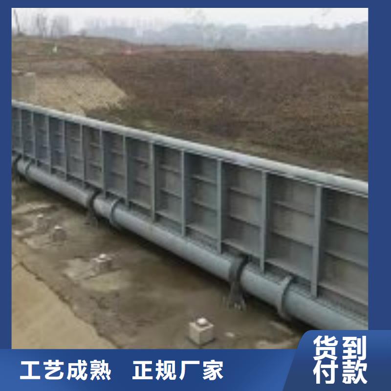 钢闸门24小时下单发货